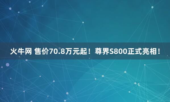 火牛网 售价70.8万元起！尊界S800正式亮相！