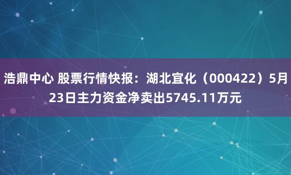 浩鼎中心 股票行情快报：湖北宜化（000422）5月23日主力资金净卖出5745.11万元